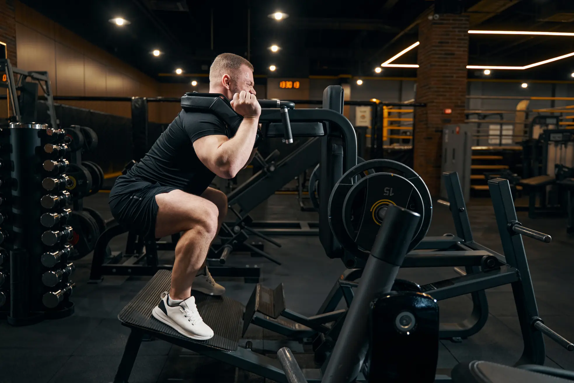 Improve your body composition