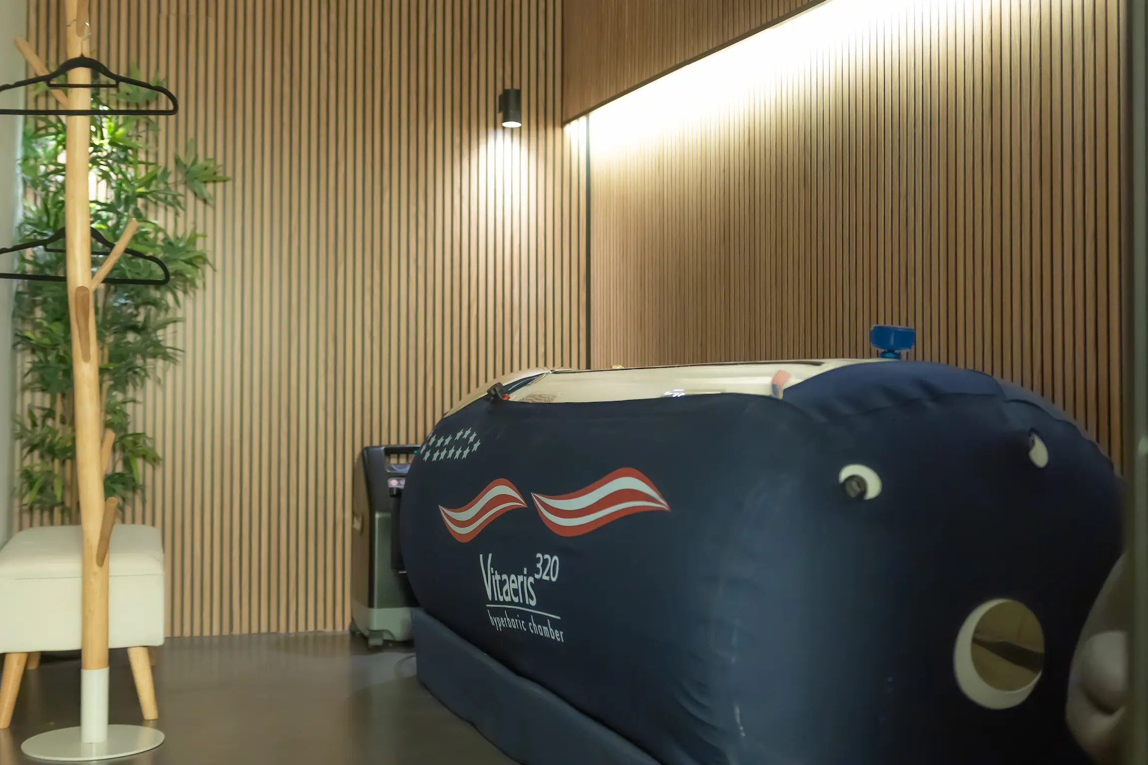 Hyperbaric oxygen chamber